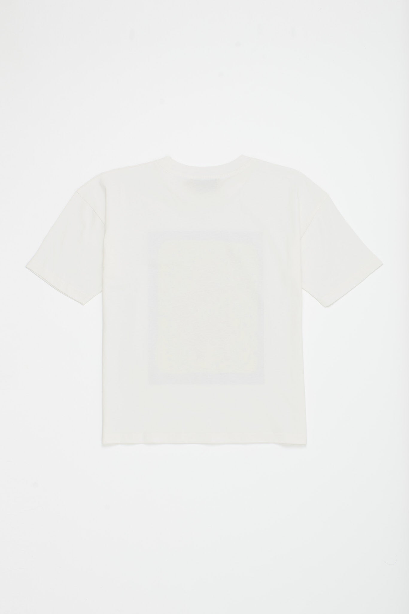 TIGER T-SHIRT CLOUDY WHITE