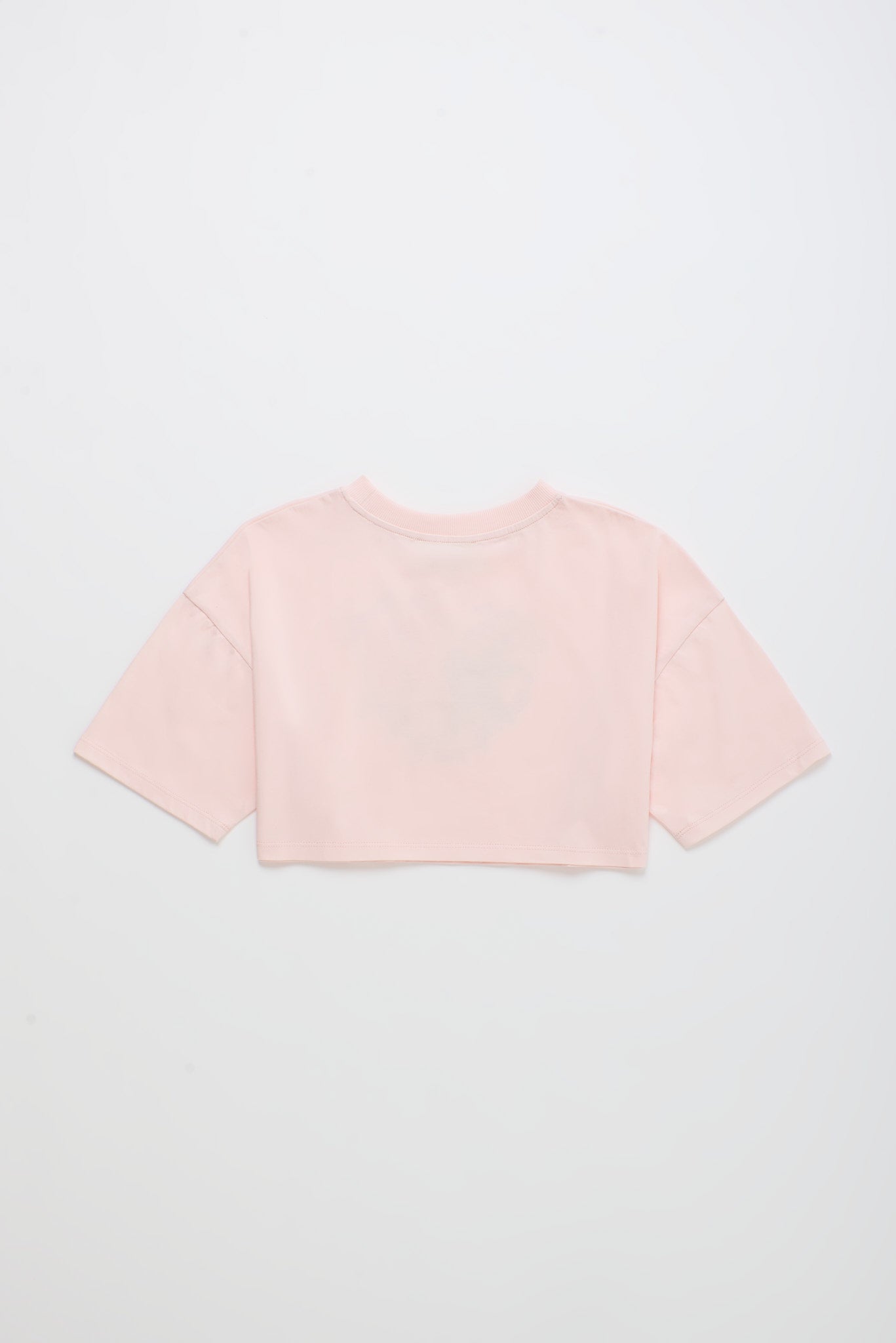 BIRDS CROP TOP BLUSH