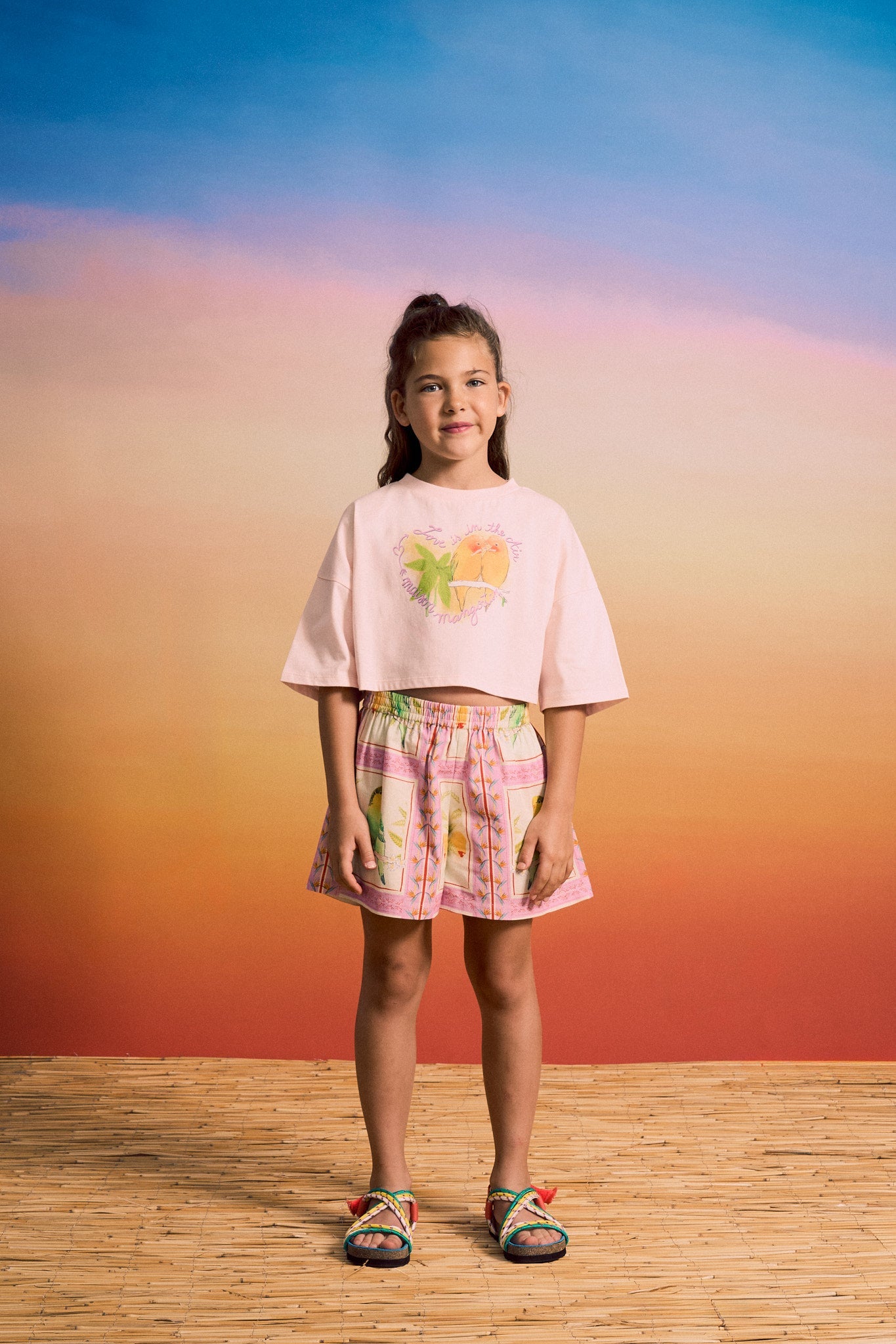 BIRDS CROP TOP BLUSH