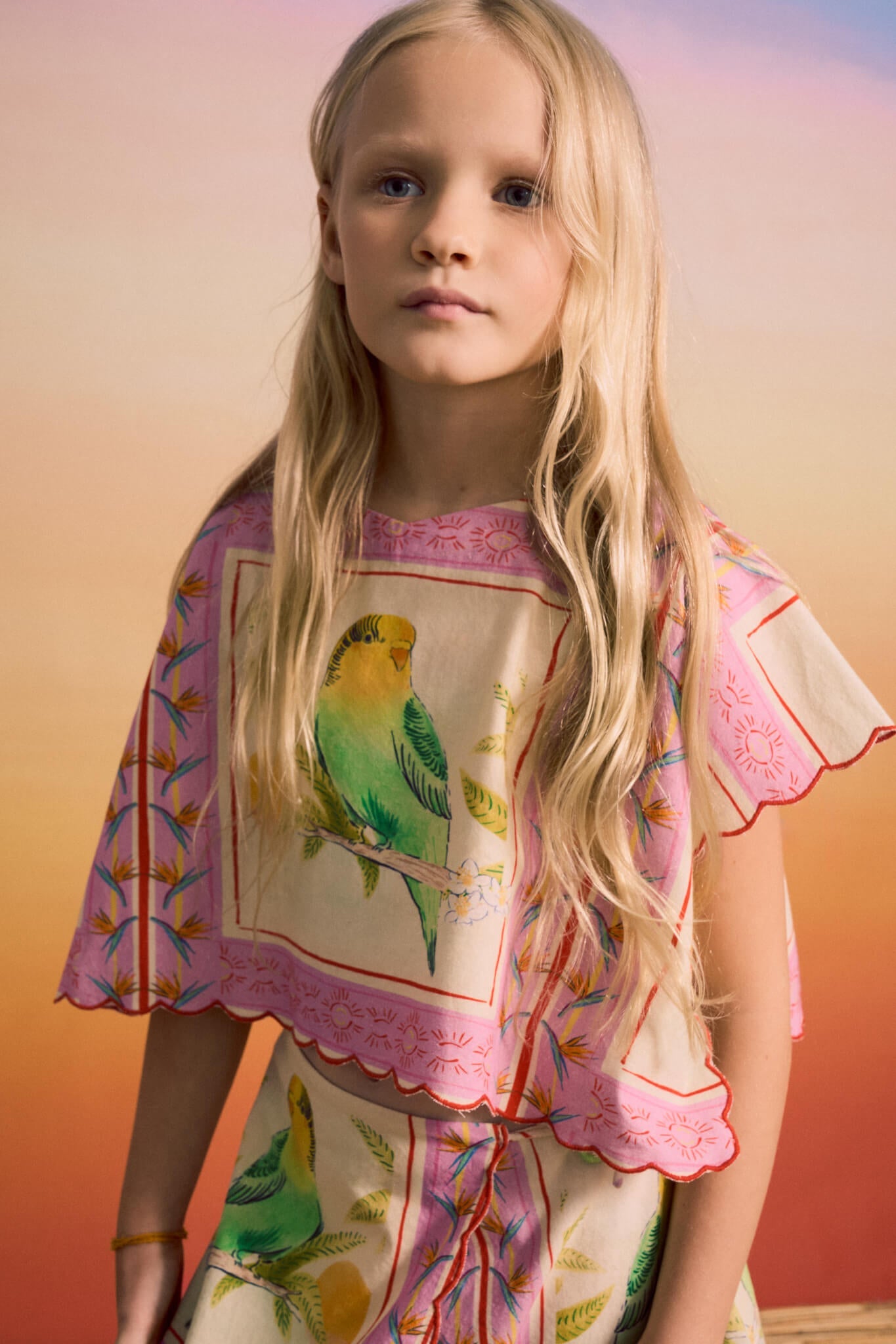BIRDS PATCHWORK TOP BLUSH