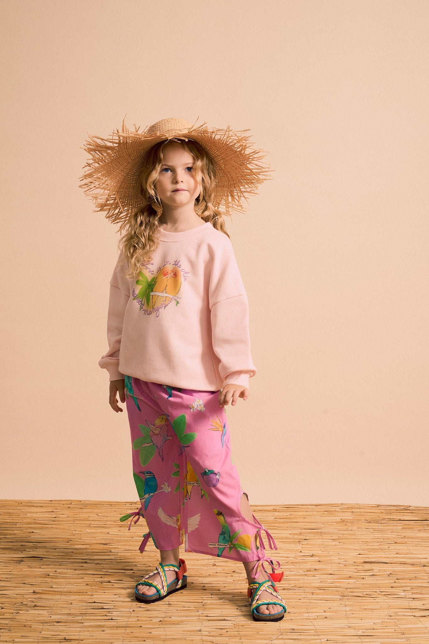 BIRDS SWEATSHIRT BLUSH