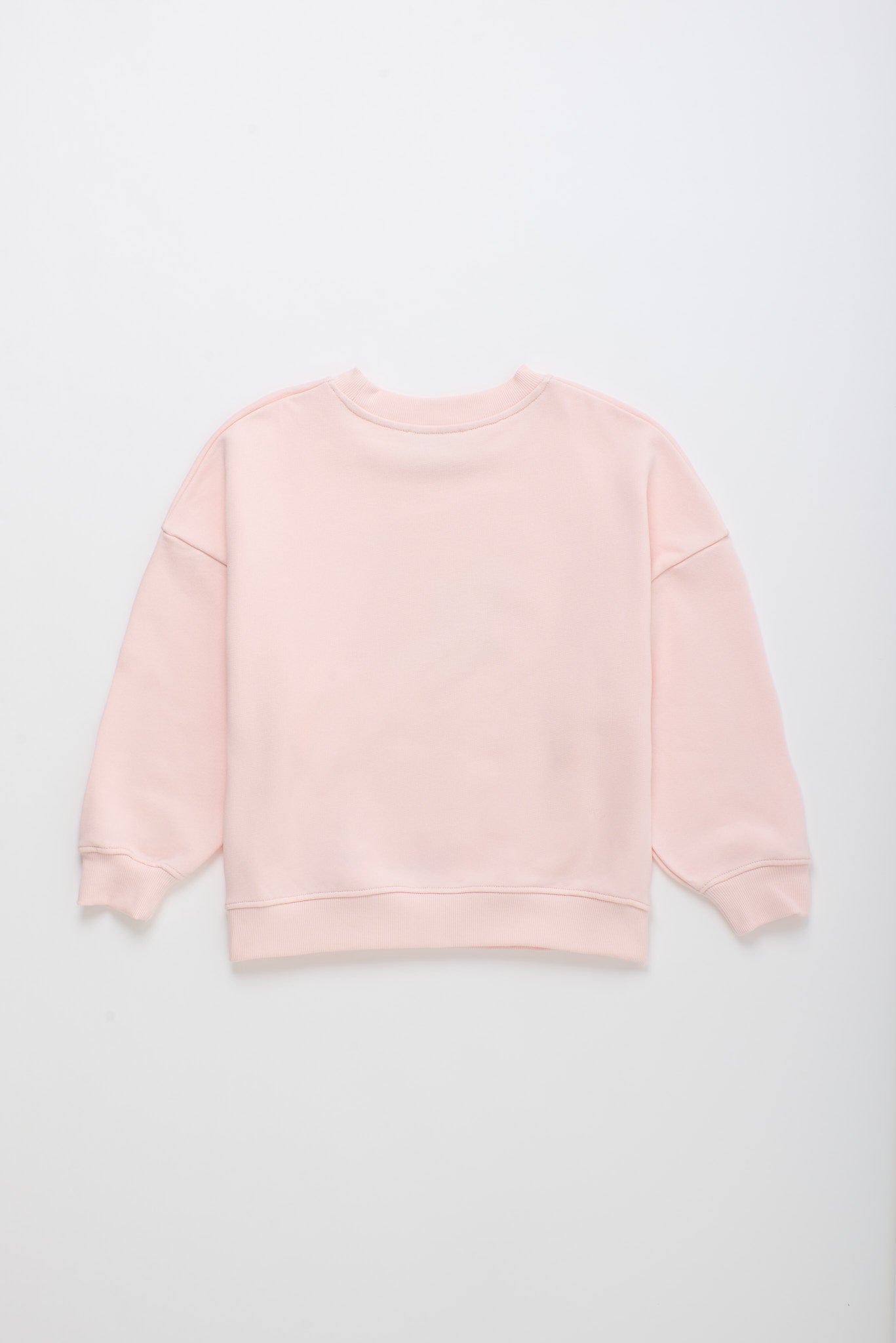 BIRDS SWEATSHIRT BLUSH