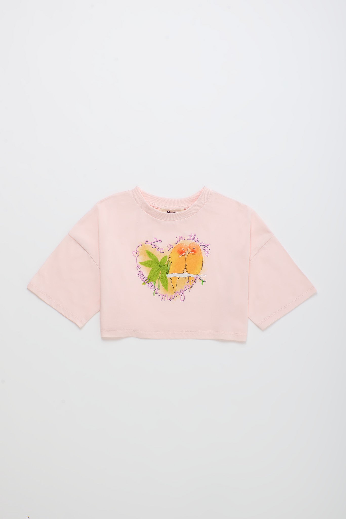 BIRDS CROP TOP BLUSH