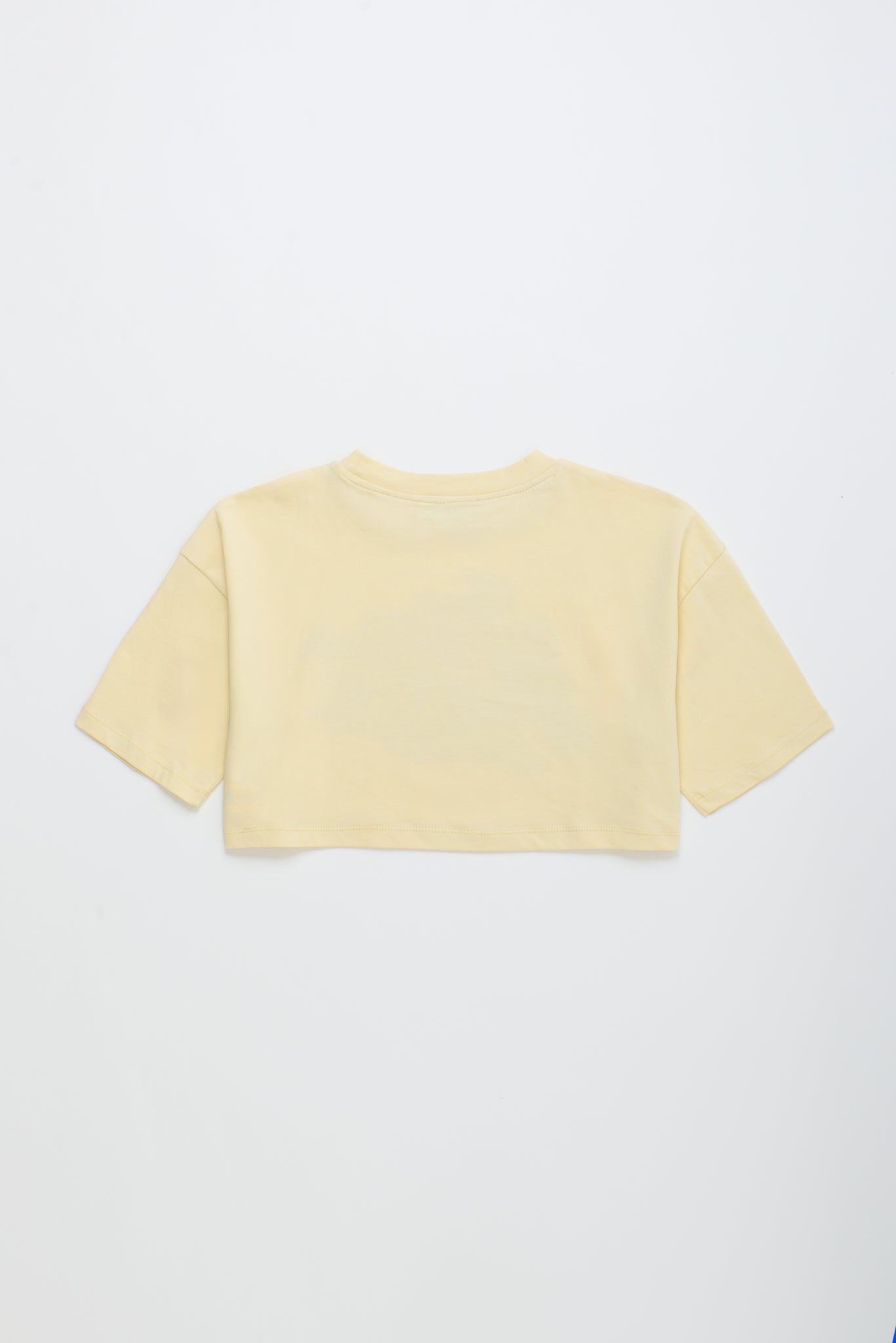 VINTAGE FLOWERS CROP TOP VANILLA