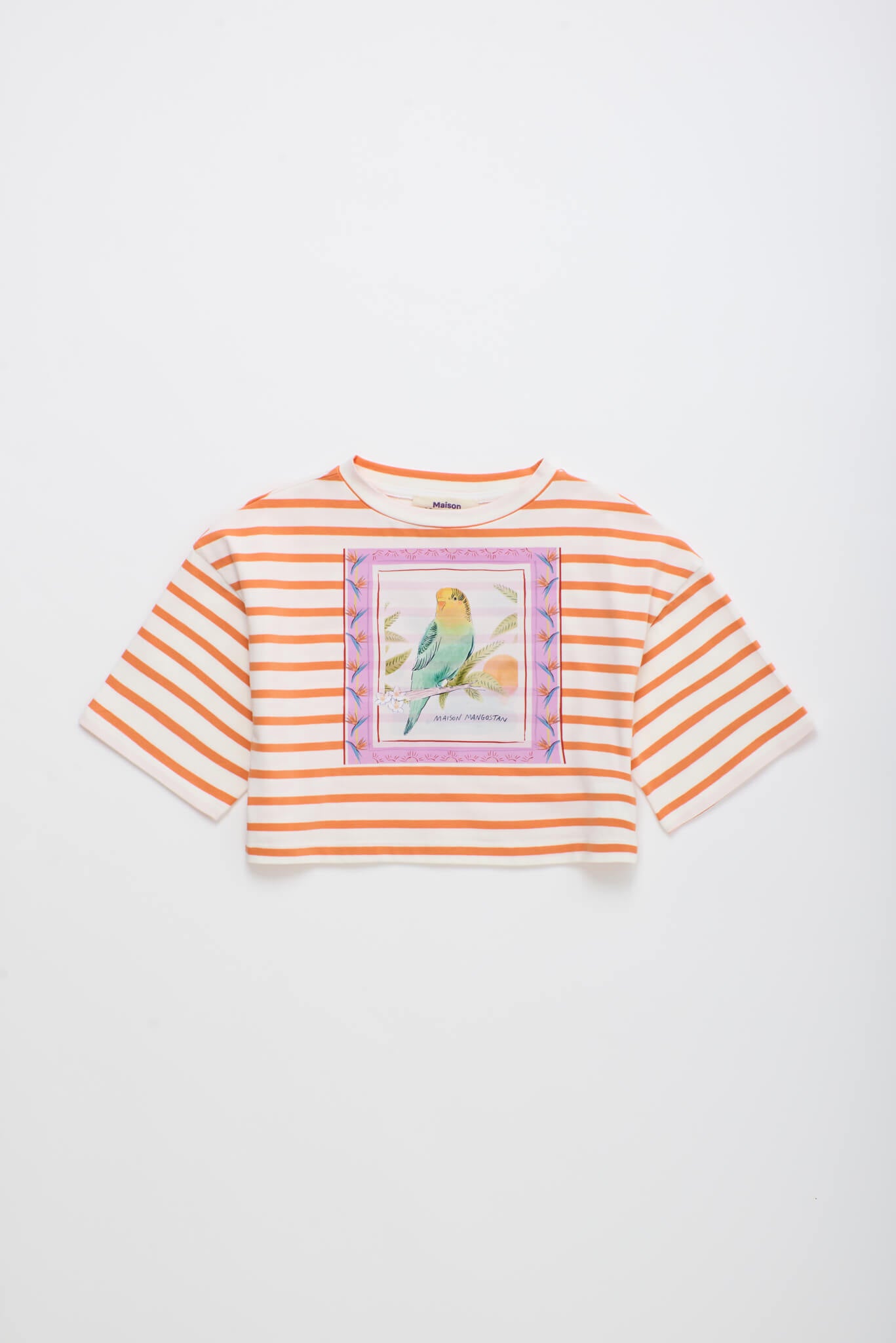 BIRDS STRIPED CROP TOP MANDARIN /WHITE
