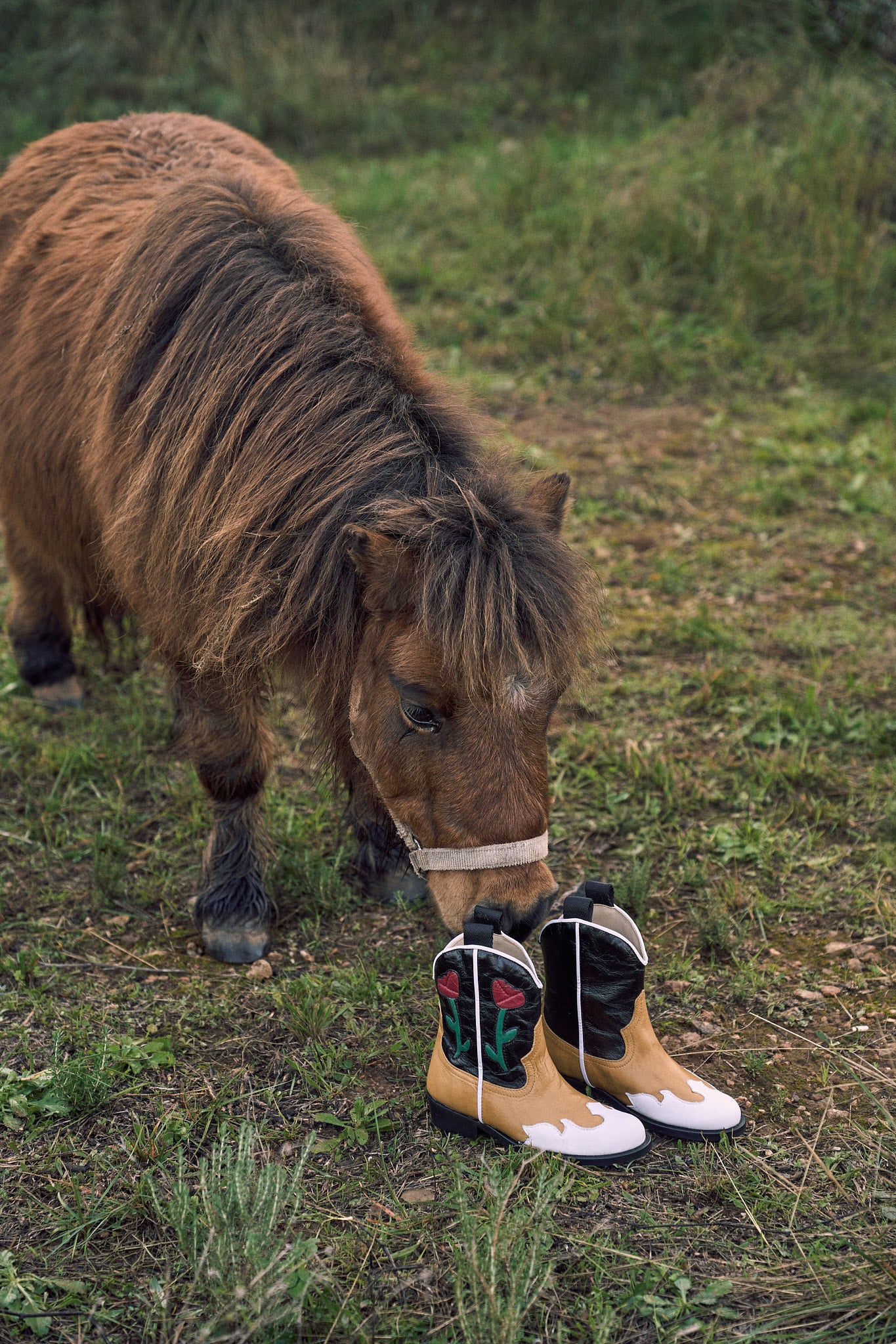 PETAL BOOT (pre-order)