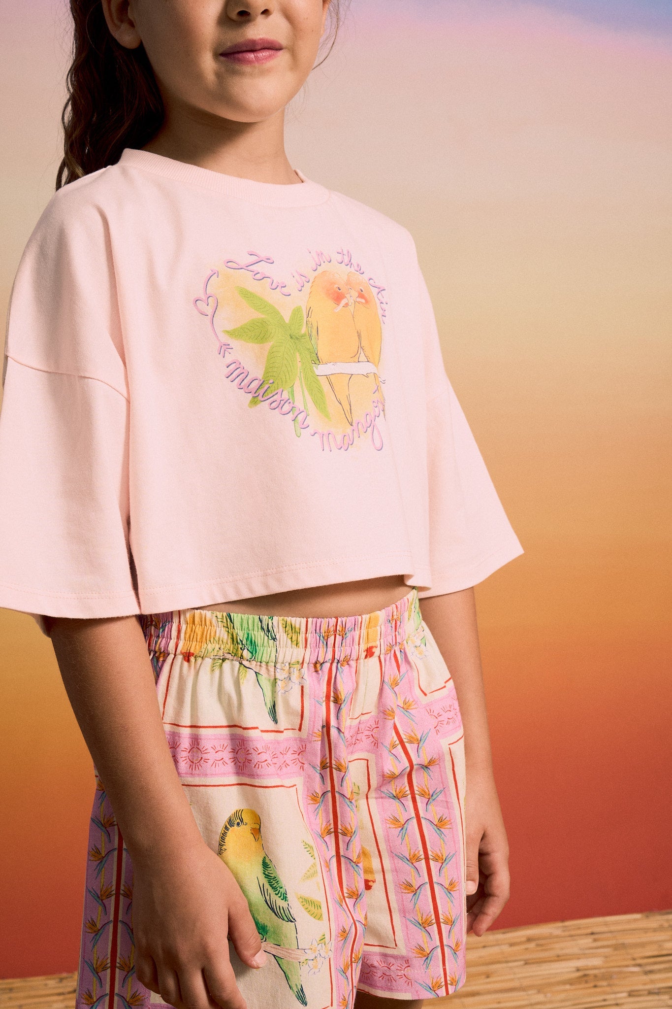 BIRDS CROP TOP BLUSH